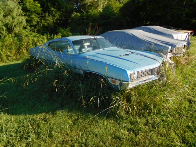 Mary Elizabeth and Bobby Lewis Hodge Estate - DSCN4217.JPG