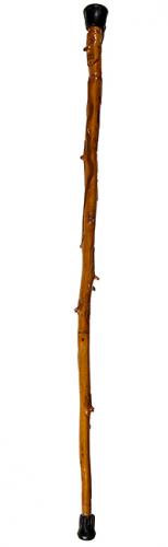  Cane Auction January 19th thru February 10th  - 26_1.jpg