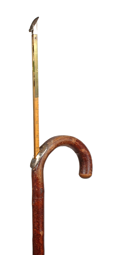 Antique Cane Auction - 141_1.jpg