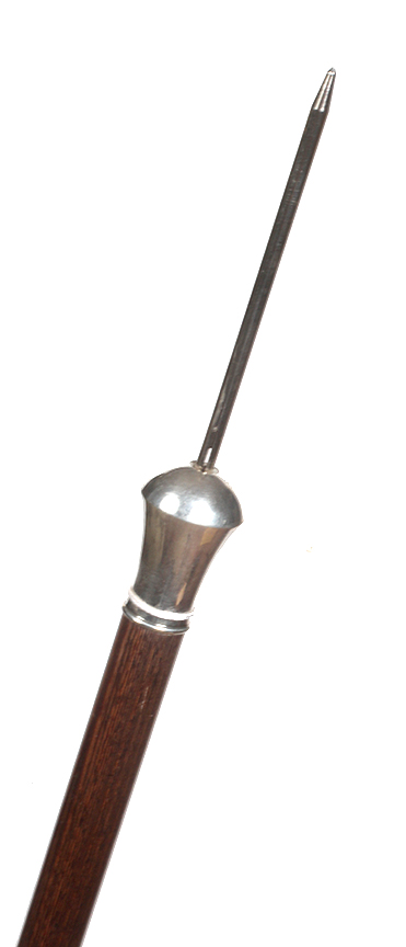Antique Cane Auction - 45_1.jpg
