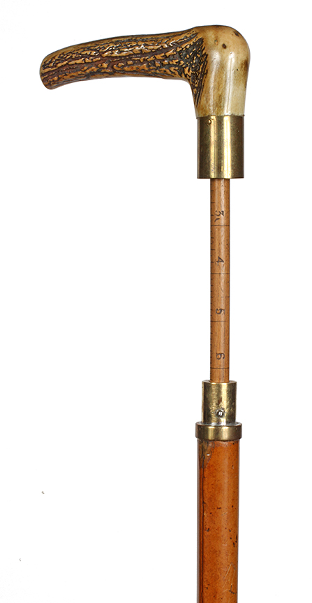 Antique Cane Auction - 72_1.jpg