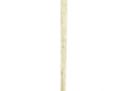 The Henry Foster Cane Collection - 113_2.jpg