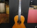 New Years Day Estates , Antique, and Martin Guitar Auction - DSCN1602.JPG