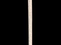 Antique and Quality Modern Cane Auction - 3b.jpg