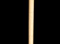 Antique and Quality Modern Cane Auction - 6b.jpg