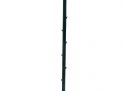 Upscale Cane Collections Auction - 54_2.jpg