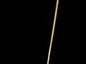 Richard Steffen Estate World Class Cane Auction - 156_2.jpg