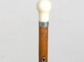 Antique Cane Auction - 33_1.jpg