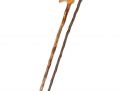 Antique Cane Auction - z_1.jpg