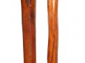 Antique Cane Auction - 107_1.jpg