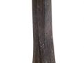 Antique Cane Auction - 209_1.jpg