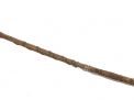 Antique Cane Auction - 40_2.jpg